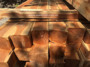 Gỗ tuyết tùng đỏ giá bao nhiêu (Aromatic Red Cedar) GỖ TUYẾT TÙNG ĐỎ (RED CEDAR)
